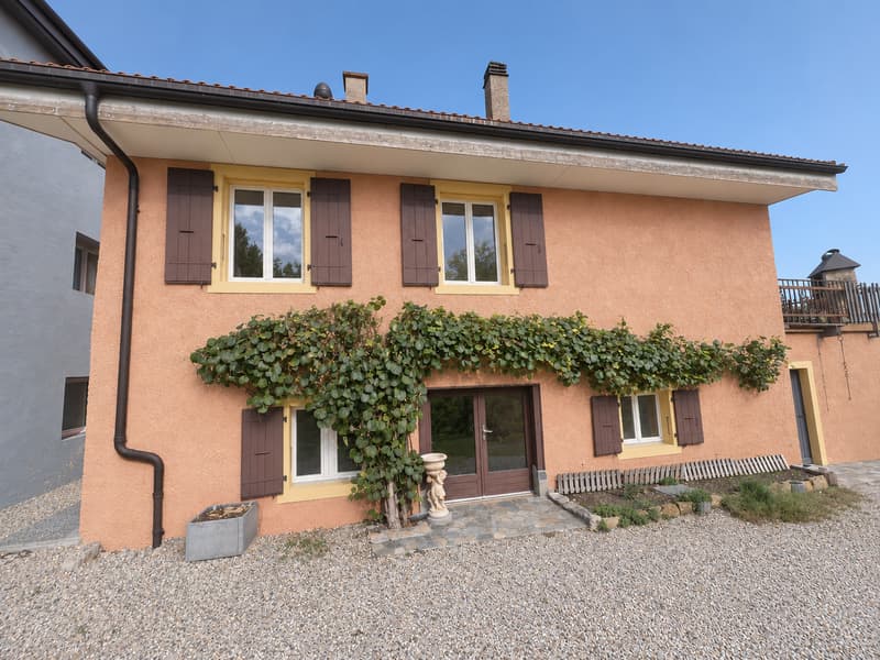 Maison villageoise avec vue: un beau potentiel à réléver (1)