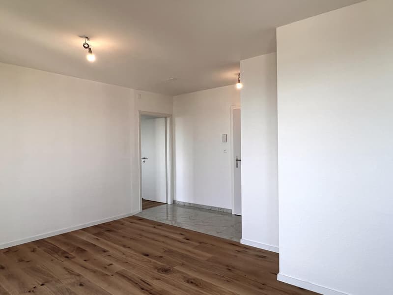 Appartement entièrement rénové avec vue sur le lac et les Alpes (7)