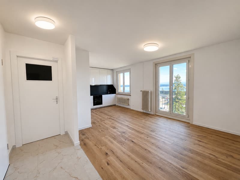 Appartement entièrement rénové avec vue sur le lac et les Alpes (1)