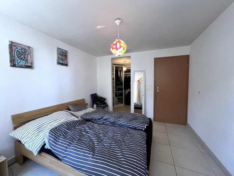 Conjuguer habitation, activité libéral ou rendement à deux pas du lac (10)