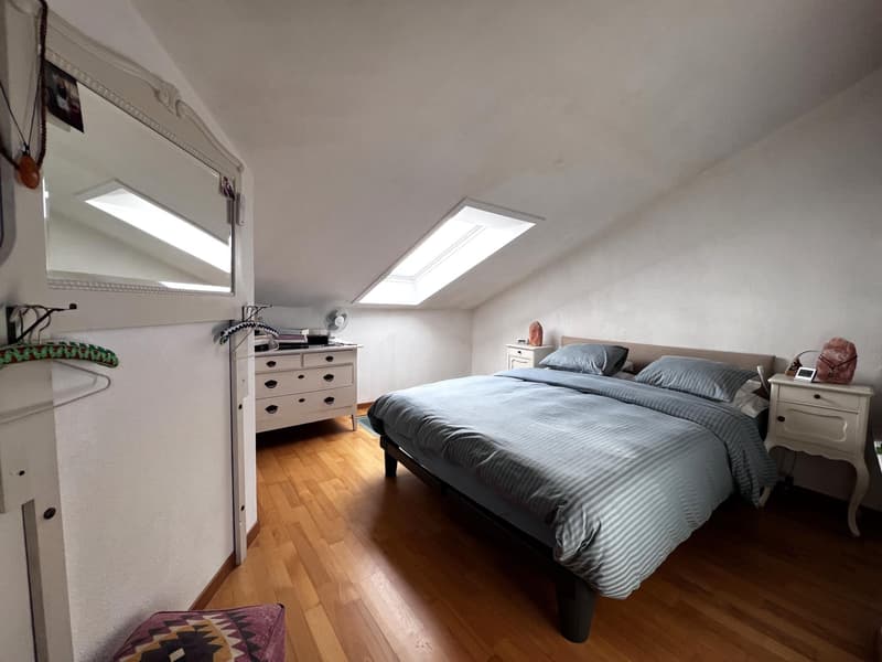 Magnifique appartement attique duplex (5)