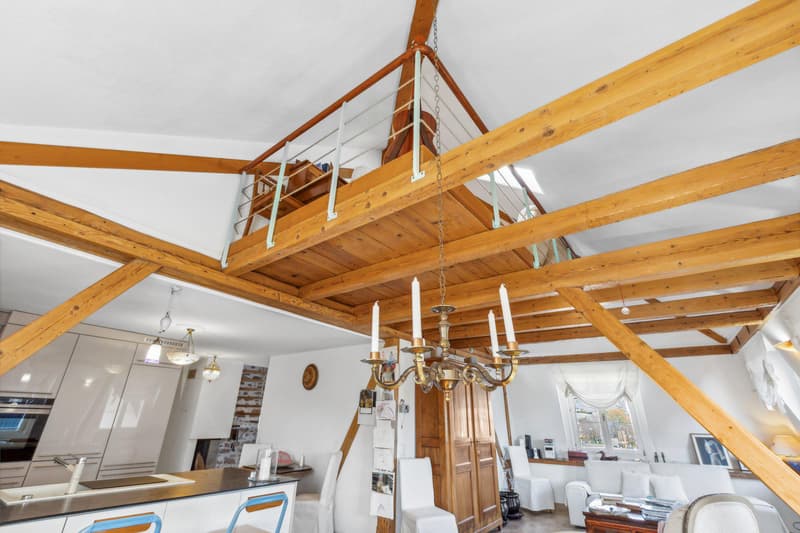 Magnifique appartement attique duplex (3)