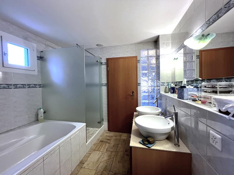 Magnifique appartement attique duplex (6)