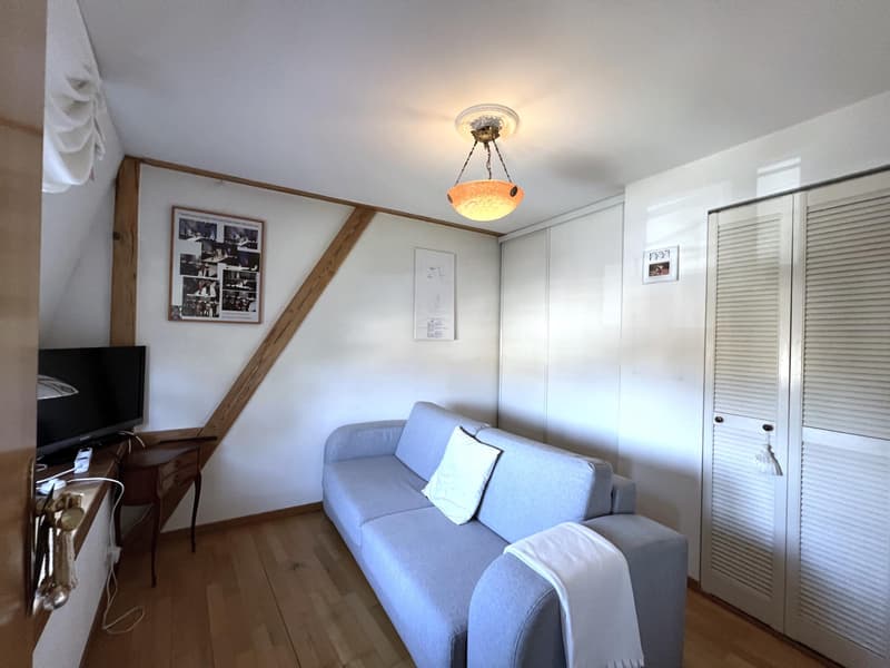 Magnifique appartement attique duplex (7)