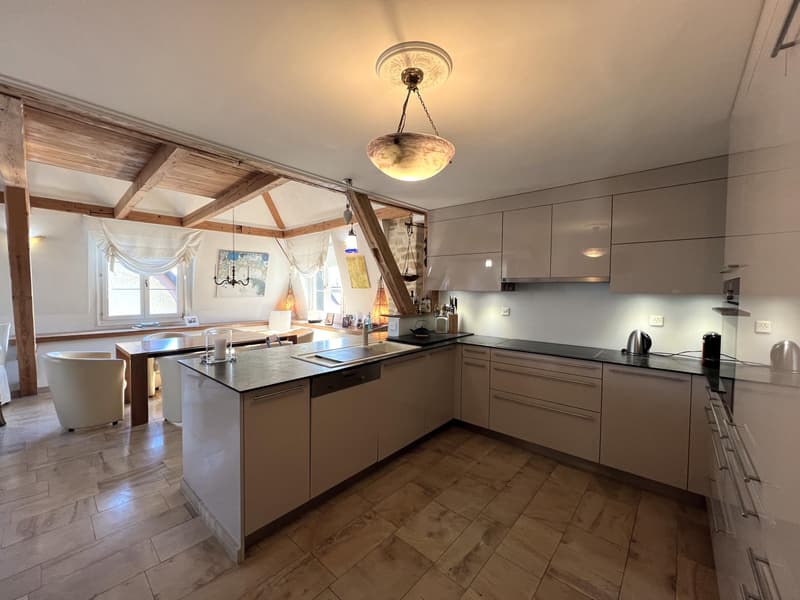 Magnifique appartement attique duplex (4)