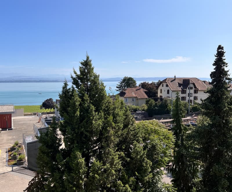 Lumineux appartement avec vue sur lac et les Alpes (1)
