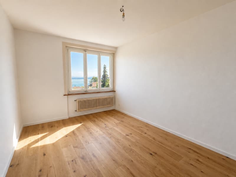 Lumineux appartement avec vue sur lac et les Alpes (3)