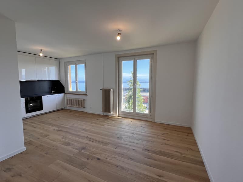 Lumineux appartement avec vue sur lac et les Alpes (5)