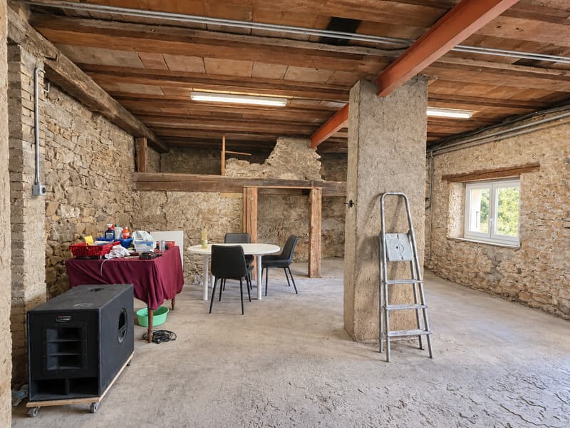 Une maison de caractère avec vue: un projet à concretiser (10)