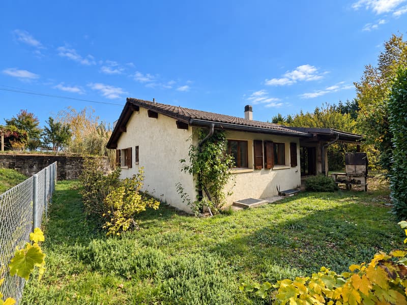 Charmante maison individuelle avec grand jardin dans un environnement verdoyant à Boudry (1)