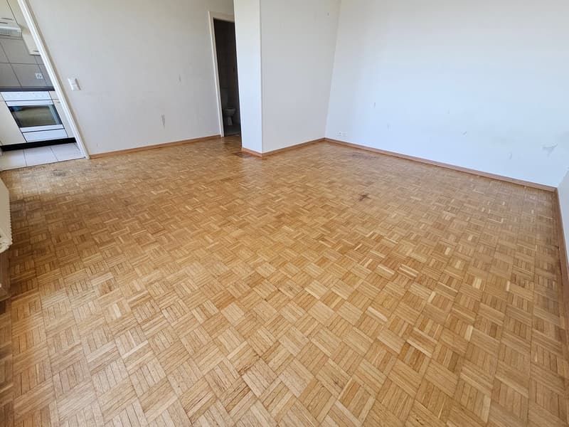 empty room, wooden parquet floor, white walls, open door, small toilet