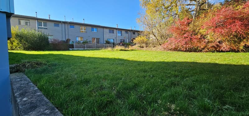 Large green lawn, bushes, trees, building in the background