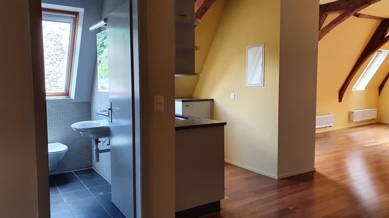 Piazza del Collegio 2, Valangin - Appartamento di 2 locali al 3° piano (9)