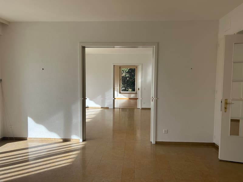 FRIBOURG - FORT-ST-JACQUES 29 - 10.5 rooms in a duplex (4)