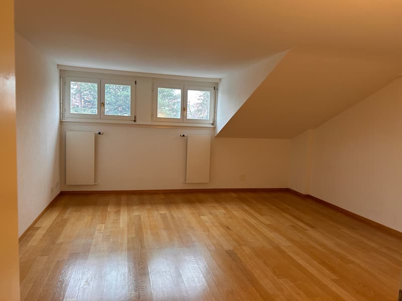 FRIBOURG - FORT-ST-JACQUES 29 - 10.5 rooms in a duplex (9)