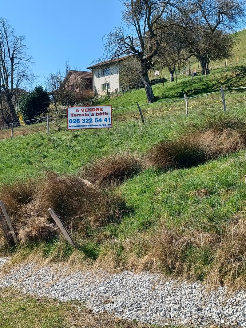 LE BRY - BUILDING LAND (3)