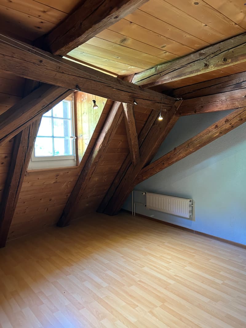 FRIBOURG - PLACE DU PETIT-ST-JEAN 39 - APPARTAMENTO INCANTEVOLE - 4.5 (10)