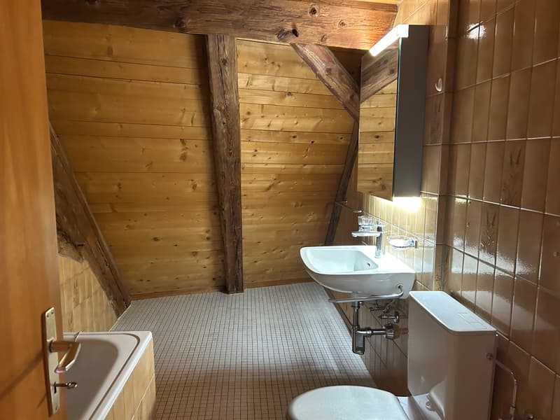 FRIBOURG - PLACE DU PETIT-ST-JEAN 39 - APPARTAMENTO INCANTEVOLE - 4.5 (11)