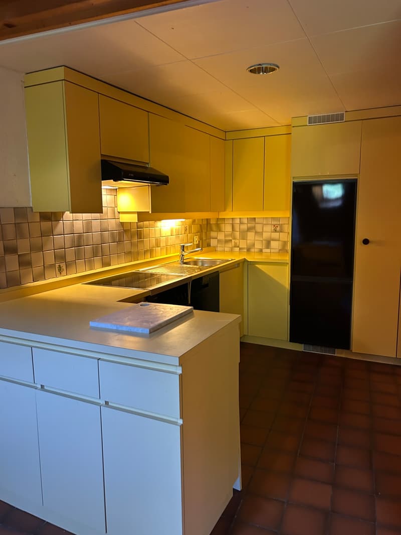 FRIBOURG - PLACE DU PETIT-ST-JEAN 39 - APPARTAMENTO INCANTEVOLE - 4.5 (3)