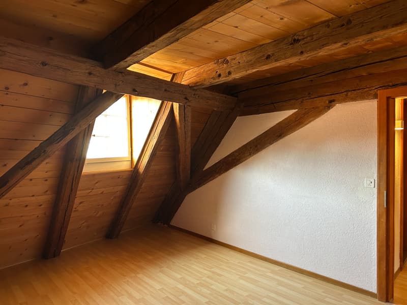 FRIBOURG - PLACE DU PETIT-ST-JEAN 39 - APPARTAMENTO INCANTEVOLE - 4.5 (7)