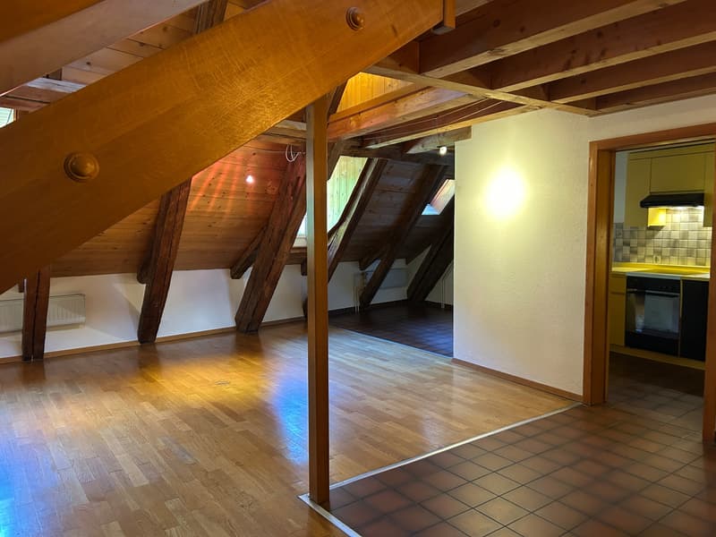 FRIBOURG - PLACE DU PETIT-ST-JEAN 39 - APPARTAMENTO INCANTEVOLE - 4.5 (1)