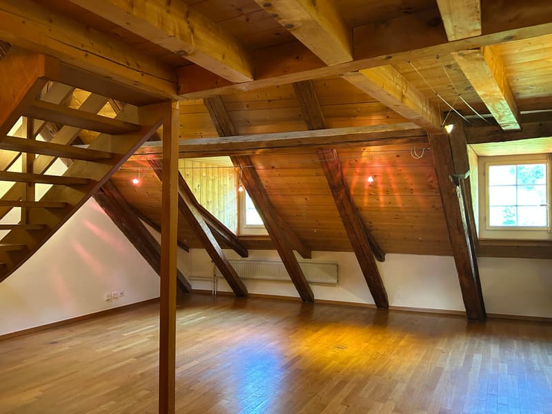 FRIBOURG - PLACE DU PETIT-ST-JEAN 39 - APPARTAMENTO INCANTEVOLE - 4.5 (4)
