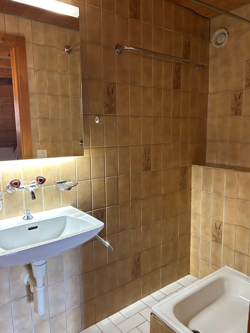 FRIBOURG - PLACE DU PETIT-ST-JEAN 39 - APPARTAMENTO INCANTEVOLE - 4.5 (9)