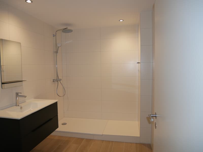 FRIBOURG - RUE DU CRIBLET 7 : APPARTEMENT 3.5 PIECES AU 3EME ETAGE (2)