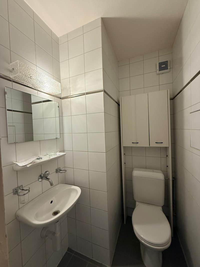 BERN - GRYPHENHÜBELIWEG 26 - WUNDERSCHÖNE NEU RENOVIERTE 4.5 (13)