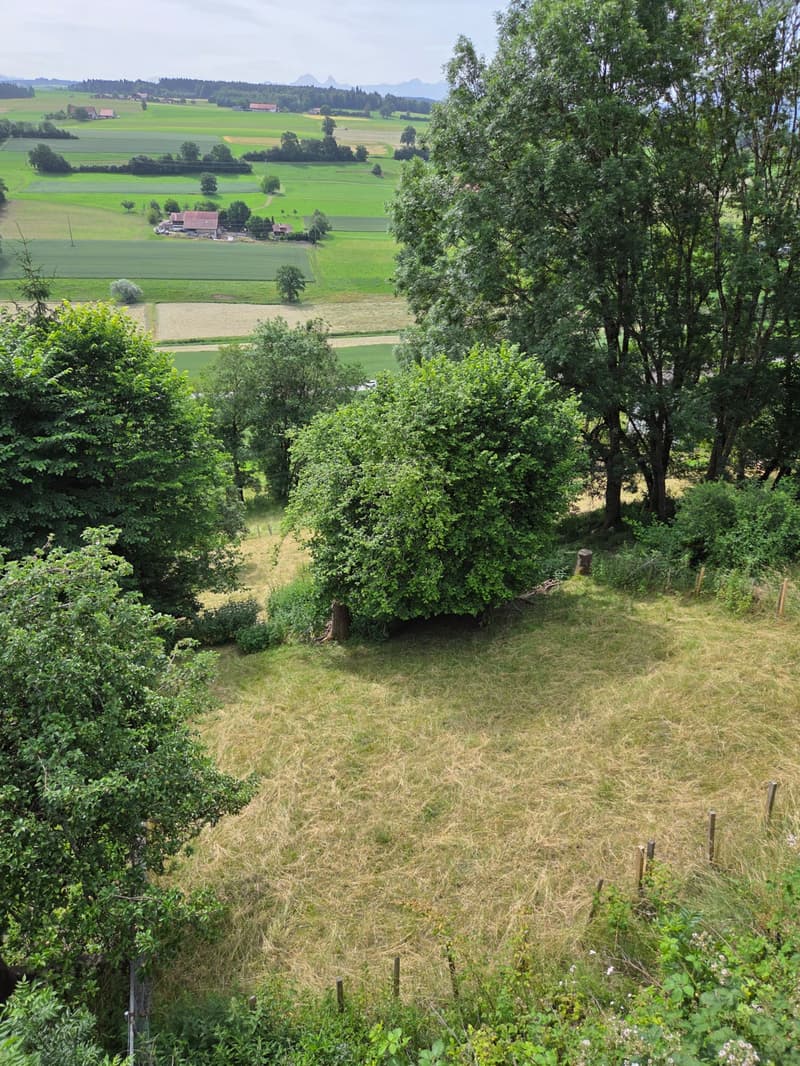 Terrain séparé