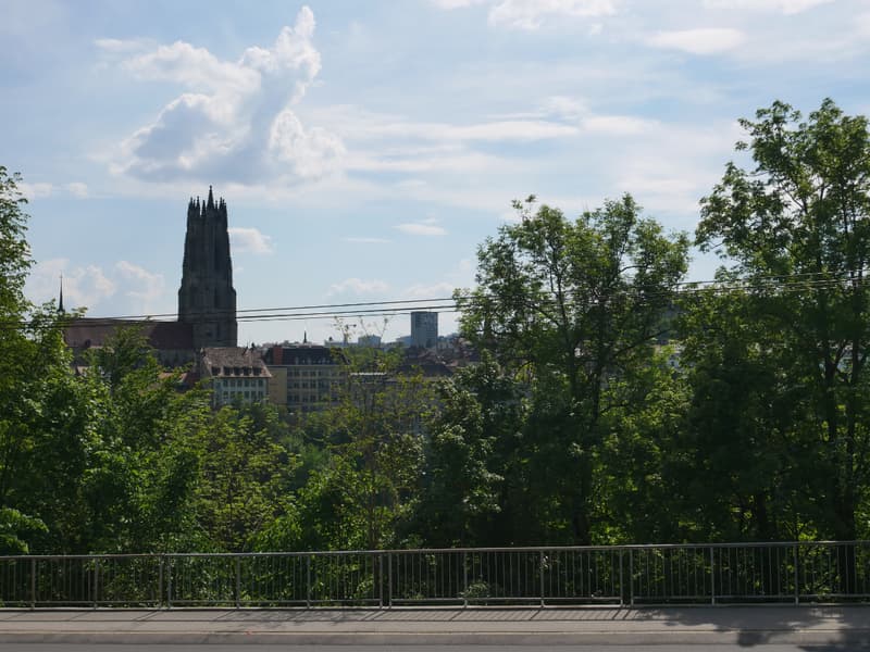 Vue depuis le balcon sud