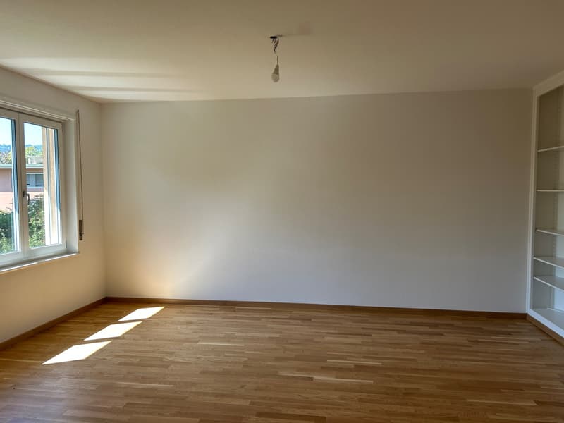 BERN - GRYPHENHÜBELIWEG 26 - WUNDERSCHÖNE NEU RENOVIERTE 4.5 (4)