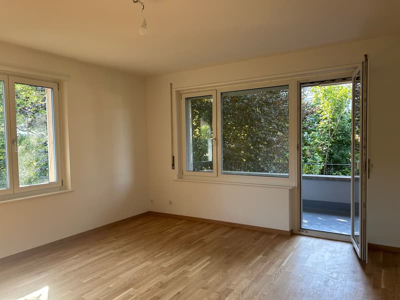 BERN - GRYPHENHÜBELIWEG 26 - WUNDERSCHÖNE NEU RENOVIERTE 4.5 (3)