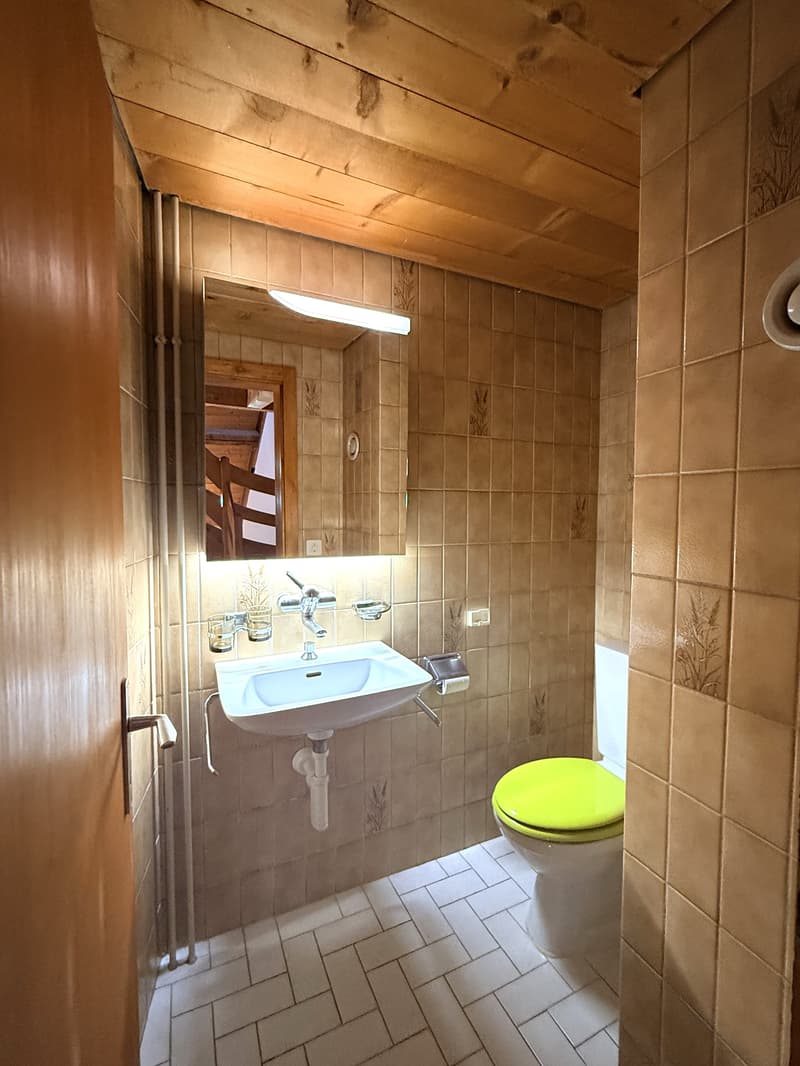 FRIBOURG - PLACE DU PETIT-ST-JEAN 39 - APPARTAMENTO AFFASCINANTE - 4.5 (9)