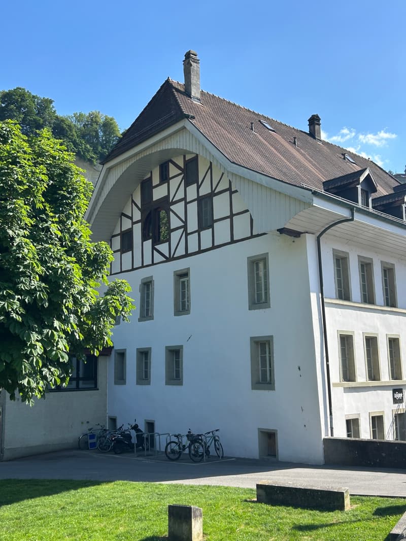 FRIBOURG - PLACE DU PETIT-ST-JEAN 39 - APPARTAMENTO AFFASCINANTE - 4.5 (13)