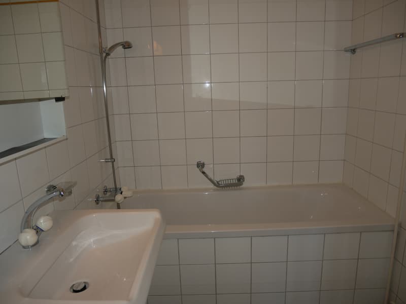 FRIBURG - RUE F.-GUILLIMANN 5 - 3.5 LOCALI MANSARDA AL 6° PIANO (7)