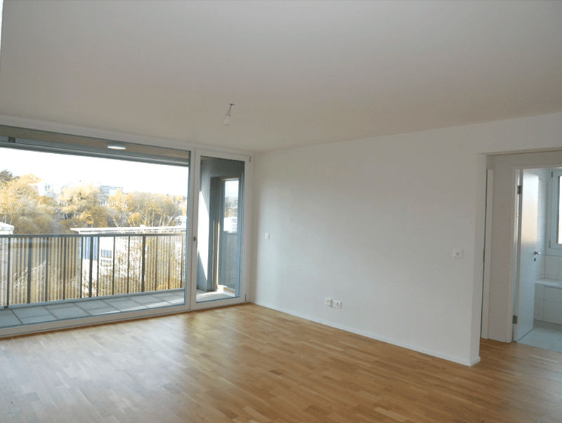 SUPERBES WOHNUNG 4.5 ZIMMER IN CHAMBLIOUX 17 (6)