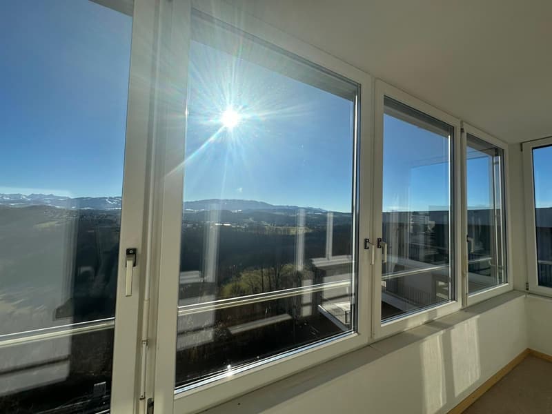 VILLARS-SUR-GLANE - RTE DE LA GLANE 109 - CHARMANTES WOHNUNG 4.5 (7)
