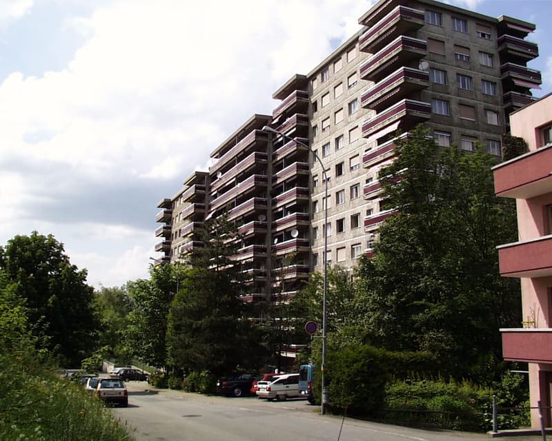 FRIBURG - IMP. DE LA FORET 24 - DEPOT (1)