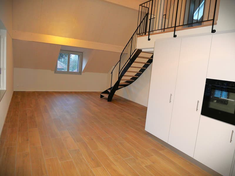 FRIBOURG - BOURGUILLON - MAGNIFIQUE APPARTEMENT DE 4.5 PIECES EN (3)