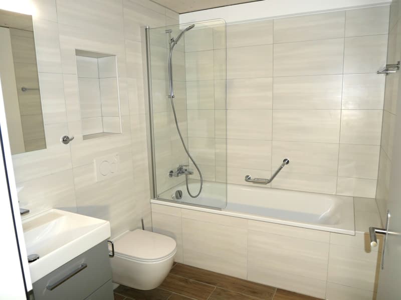FRIBOURG - BOURGUILLON - MAGNIFIQUE APPARTEMENT DE 4.5 PIECES EN (6)
