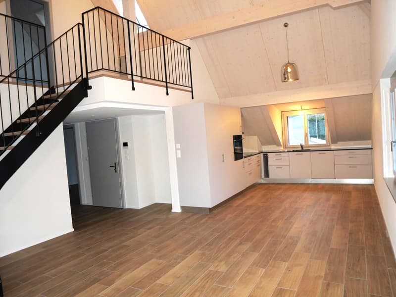 FRIBOURG - BOURGUILLON - MAGNIFIQUE APPARTEMENT DE 4.5 PIECES EN (2)