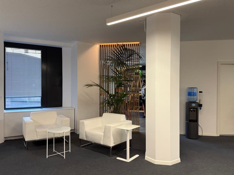 Magnificent office space of 354 m² in Eaux-Vives (6)