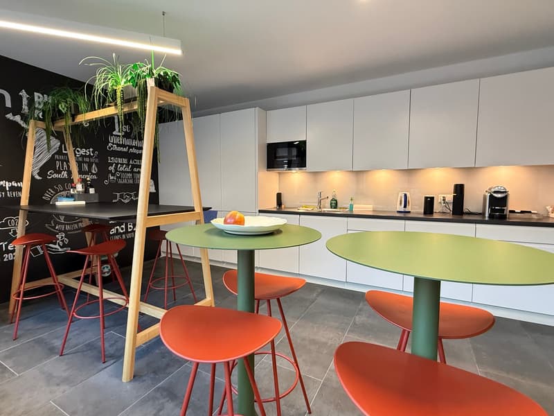 Magnificent office space of 354 m² in Eaux-Vives (9)