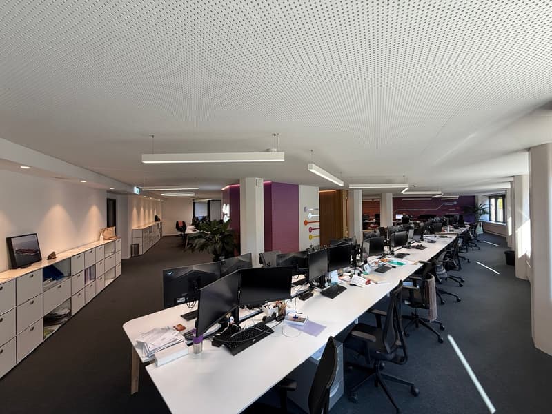 Magnificent office space of 354 m² in Eaux-Vives (4)
