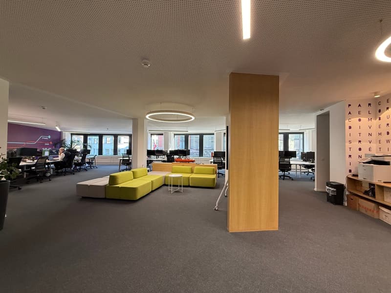 Magnificent office space of 354 m² in Eaux-Vives (3)