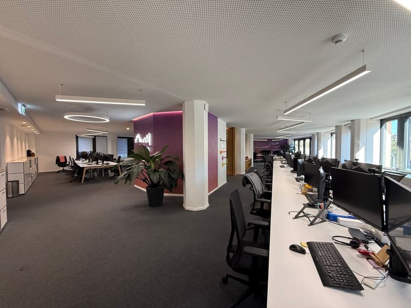 Magnificent office space of 354 m² in Eaux-Vives (5)