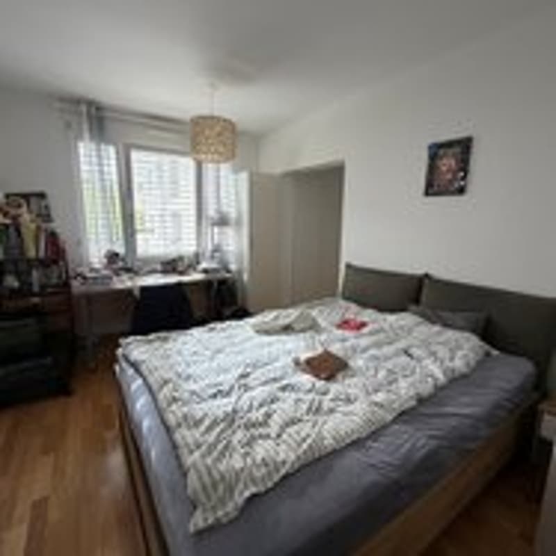 Spacious 4-room apartment with balcony in Geneva (4)