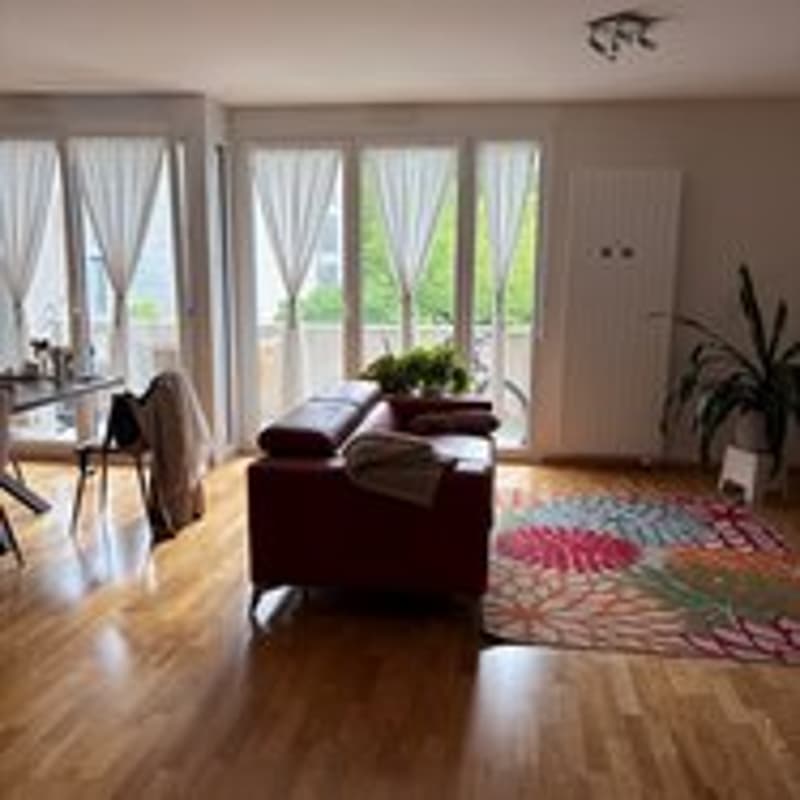 Spacious 4-room apartment with balcony in Geneva (2)