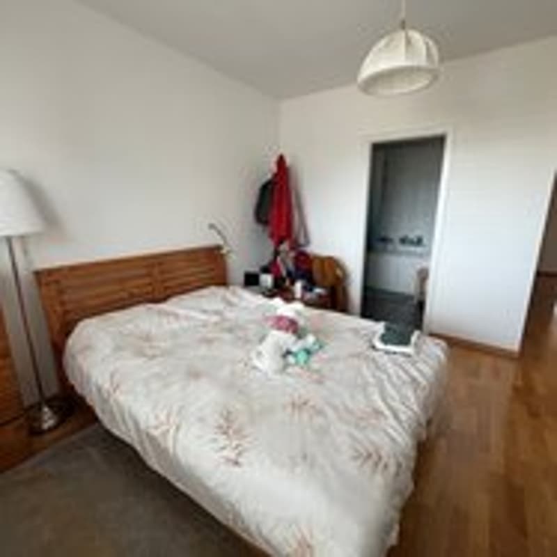 Spacious 4-room apartment with balcony in Geneva (3)